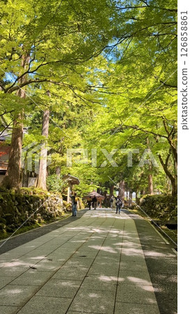 The beautiful road is this place 126858861