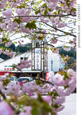 路邊小站和櫻花特寫「路邊小站長湯溫泉風景、溫泉市場」大分縣竹田市 路邊小站和櫻花特寫「路邊小站長湯溫泉風景、溫泉市場」大分縣竹田市 126858937