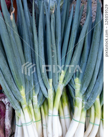 Organic Japanese Scallions at Bustling Market Stall. 126859529
