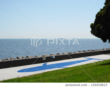 Marine Animal Path | Wakasu Seaside Park 126859623