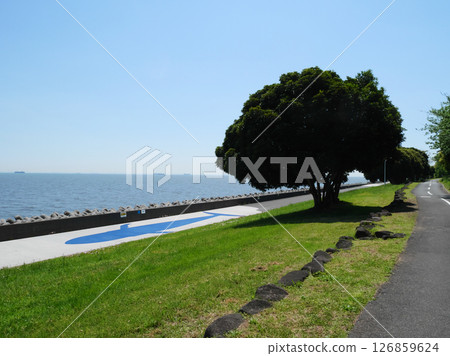 海獸之路|若洲海濱公園 海獸之路|若洲海濱公園 126859624