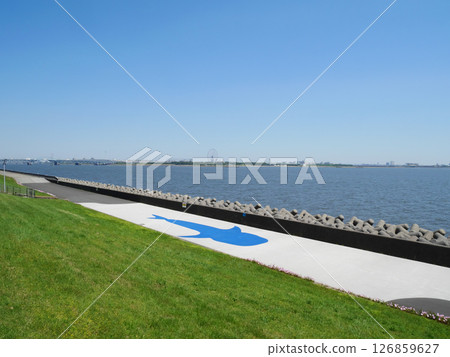 海獸之路｜若洲海濱公園 126859627