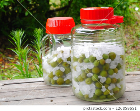 Ume-work: Plum syrup Ume-work: Plum syrup 126859651