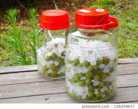 梅子糖漿 梅子糖漿 126859657