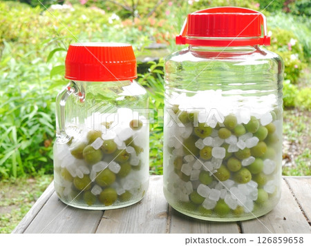 Ume-work: Plum syrup Ume-work: Plum syrup 126859658