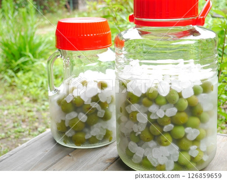 Ume-work: Plum syrup 126859659