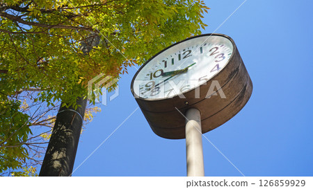 Outdoor clock installed in the park Outdoor clock installed in the park 126859929