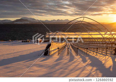 Greenhouse in the snow and sunrise, Norway 126860592