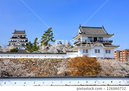 [廣島縣] 春天的櫻花盛開的福山城（重建後）福山城櫻花節 126860732