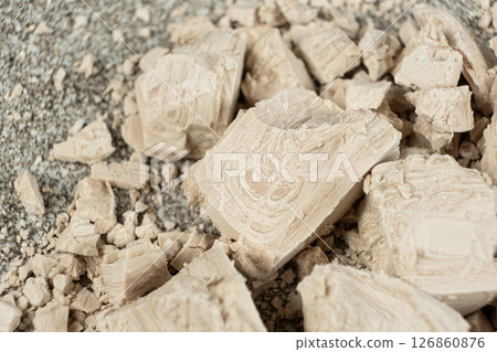 Fresh Compressed Yeast Brick for Baking 126860876