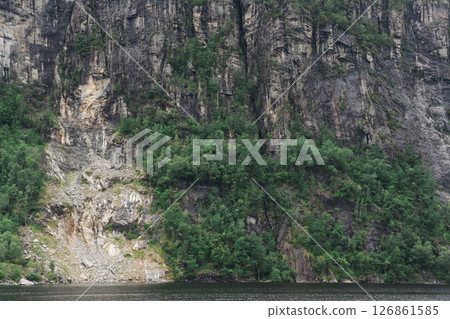 Steep rocky cliff with green forest above dark water in summer light 126861585