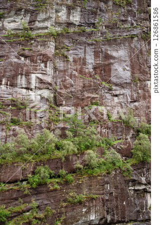 Textured red-brown fjord cliff with trees near Bergen, Norway Textured red-brown fjord cliff with trees near Bergen, Norway 126861586