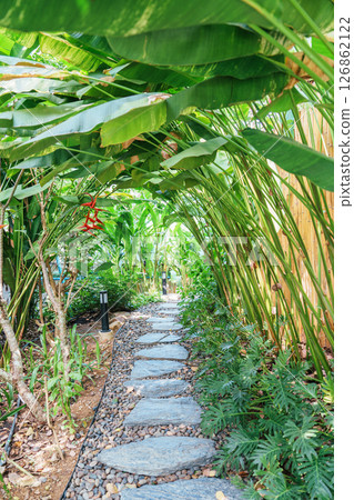Pathway surrounded by lush green leaves plant in tropical garden 126862122