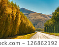 Scenic rural road trip with mountain and yellow tree during autumn at New Zealand 126862192