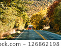 Scenic rural road trip with mountain and yellow tree during autumn at New Zealand 126862198