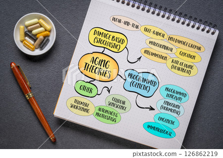 Classification of the main theories of aging, infographics sketch. 126862219
