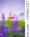 Holy Ingjaldsholskirkja or Ingjaldsholl Church against purple lupine wildflower blooming 126862287
