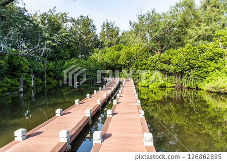 View of the mangrove ecological boardwalks at Shuangchun Seaside Recreational Area in Beimen, Tainan, Taiwan. 126862895