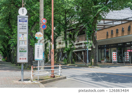 Fresh green cherry blossom trees and a bus stop (front gate of Tama Cemetery) Fresh green cherry blossom trees and a bus stop (front gate of Tama Cemetery) 126863484