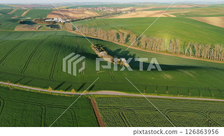Green wavy hills with agricultural fields 126863956