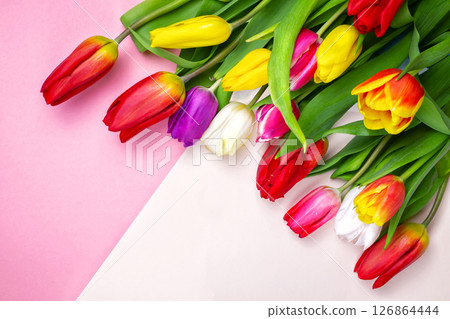 bouquet of beautiful colored tulips on a pink delicate background. greeting card for women's day. 8 March., Mother's Day. Flat lay and copy space 126864444