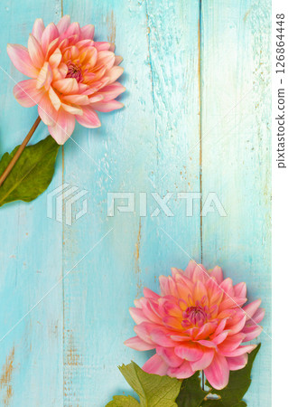 summer background. dahlias and a canvas on a blue wooden background. art. space for a text summer background. dahlias and a canvas on a blue wooden background. art. space for a text 126864448