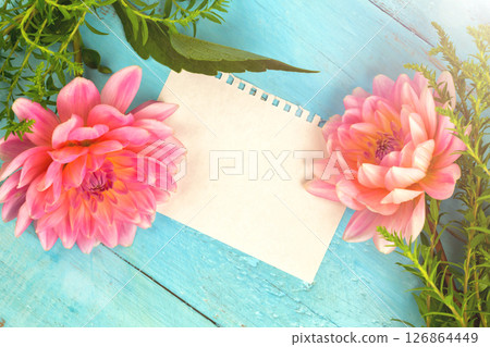 summer background. light pink dahlias on a wooden blue background, 126864449