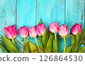 tulips on a blue background. the photo is stylized into a drawing 126864530