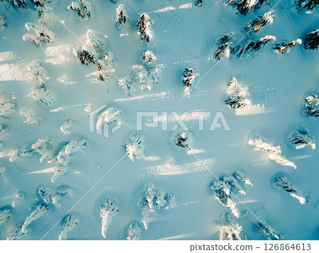 Snowy forest landscape captured from above in winter with sun rays breaking through the trees 126864613