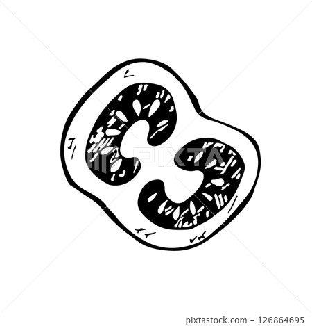 Tomato slice. Vector graphics, black and white hand-drawn illustration. Isolate on a white background. For packaging and labels, banners and posters. For restaurant and bar menus. 126864695