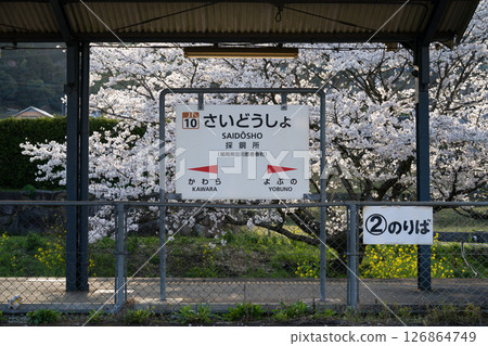 日田彥山線西道城站的春季櫻花盛開 日田彥山線西道城站的春季櫻花盛開 126864749