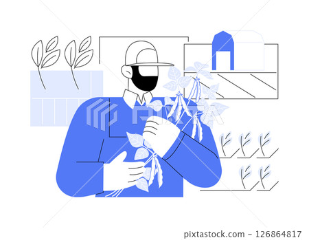 Soybean crops isolated cartoon vector illustrations. 126864817