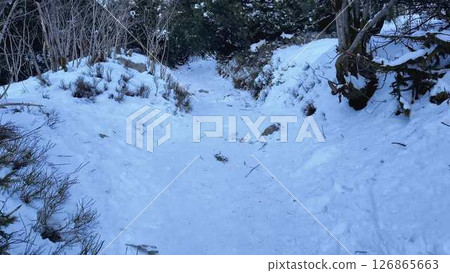 A Beautiful and Scenic SnowCovered Trail Set in a Picturesque and Tranquil Winter Landscape A Beautiful and Scenic SnowCovered Trail Set in a Picturesque and Tranquil Winter Landscape 126865663