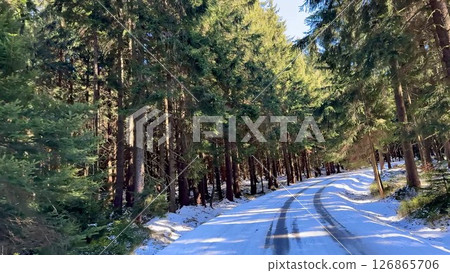 A Serene Winter Landscape Featuring a SnowCovered Path Surrounded by Majestic Evergreen Trees 126865706