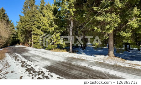 A Serene and Beautiful Winter Landscape Featuring a SnowCovered Road Surrounded by Tall Pines A Serene and Beautiful Winter Landscape Featuring a SnowCovered Road Surrounded by Tall Pines 126865712