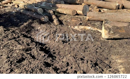 Captivating Natural Landscape Featuring Logs and Soil Elements, a True Visual Delight 126865722