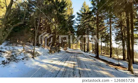 The Scenic Winter Trail is beautifully surrounded by majestic Evergreen Trees all around it 126865726
