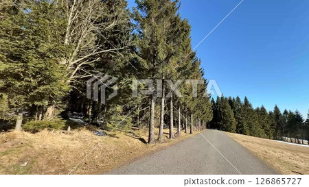 Enjoy the Serene and Calming Forest Pathway on a Beautiful and Clear Day Outside 126865727