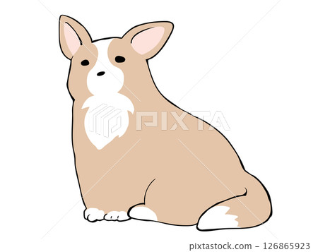 柯基犬 126865923
