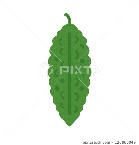Bitter melon flat illustration 126866049