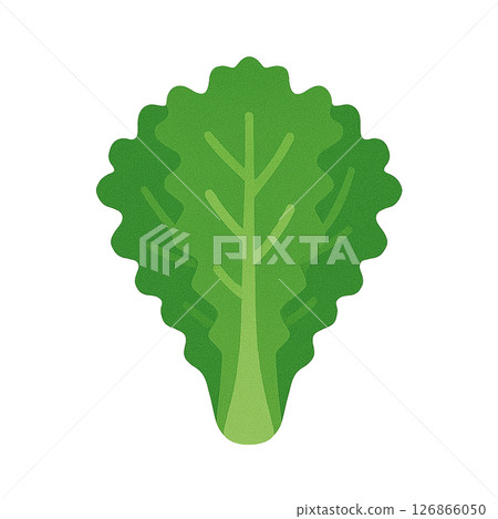 陽光生菜平面插圖 陽光生菜平面插圖 126866050