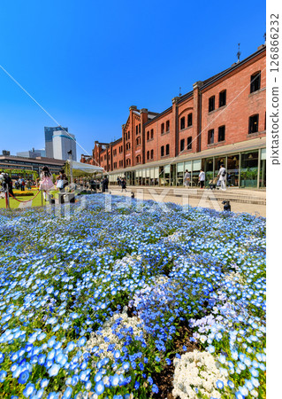 Yokohama Red Brick Warehouse FLOWER GARDEN 2025, Yokohama, Kanagawa Prefecture 126866232