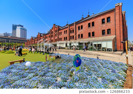 Yokohama Red Brick Warehouse FLOWER GARDEN 2025, Yokohama, Kanagawa Prefecture Yokohama Red Brick Warehouse FLOWER GARDEN 2025, Yokohama, Kanagawa Prefecture 126866233