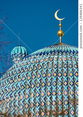 The blue dome with the golden crescent of the mosque in St.Petersburg - Russia through the branches of trees on a clear spring day 126866341