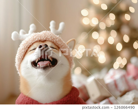 Shiba dog with Christmas lights, happy and cute smile, festive pet holiday atmosphere Shiba dog with Christmas lights, happy and cute smile, festive pet holiday atmosphere 126866490