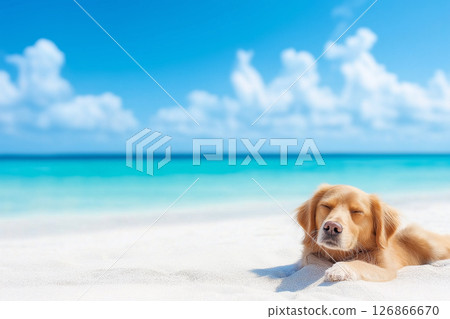 Golden Retriever enjoying relaxation on the beach with sand, vacation, sunshine, and ocean view 126866670
