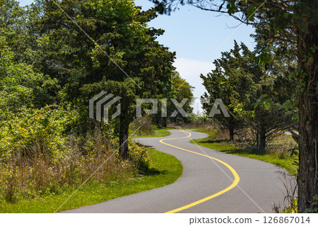 Winding Paved Trail Through Forest on Sunny Day in Gateway National Park 126867014