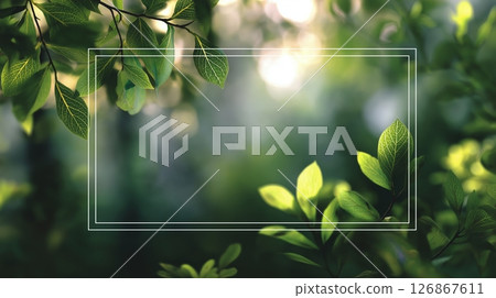 Transparent Text Box Centered on Blurred Natural Background, Green Leaves 126867611