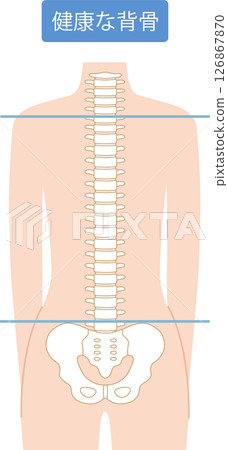 健康的脊柱 126867870