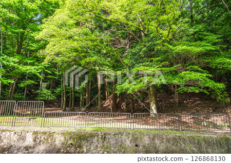 Lake Biwa Canal Higashiyama Natural Green Space Kyoto City Lake Biwa Canal Higashiyama Natural Green Space Kyoto City 126868130